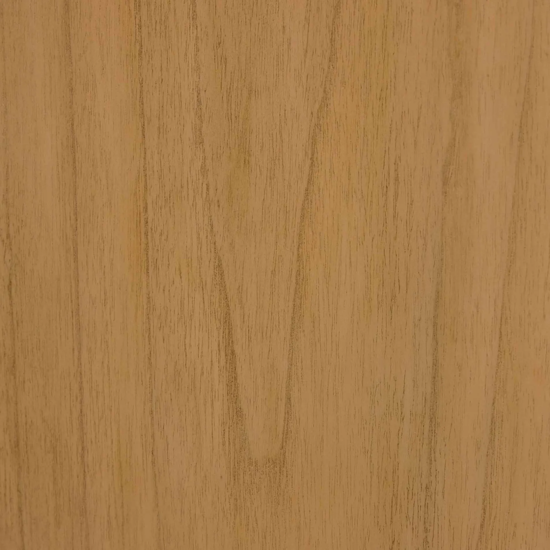 New Horgans Ares Cabinet Natural