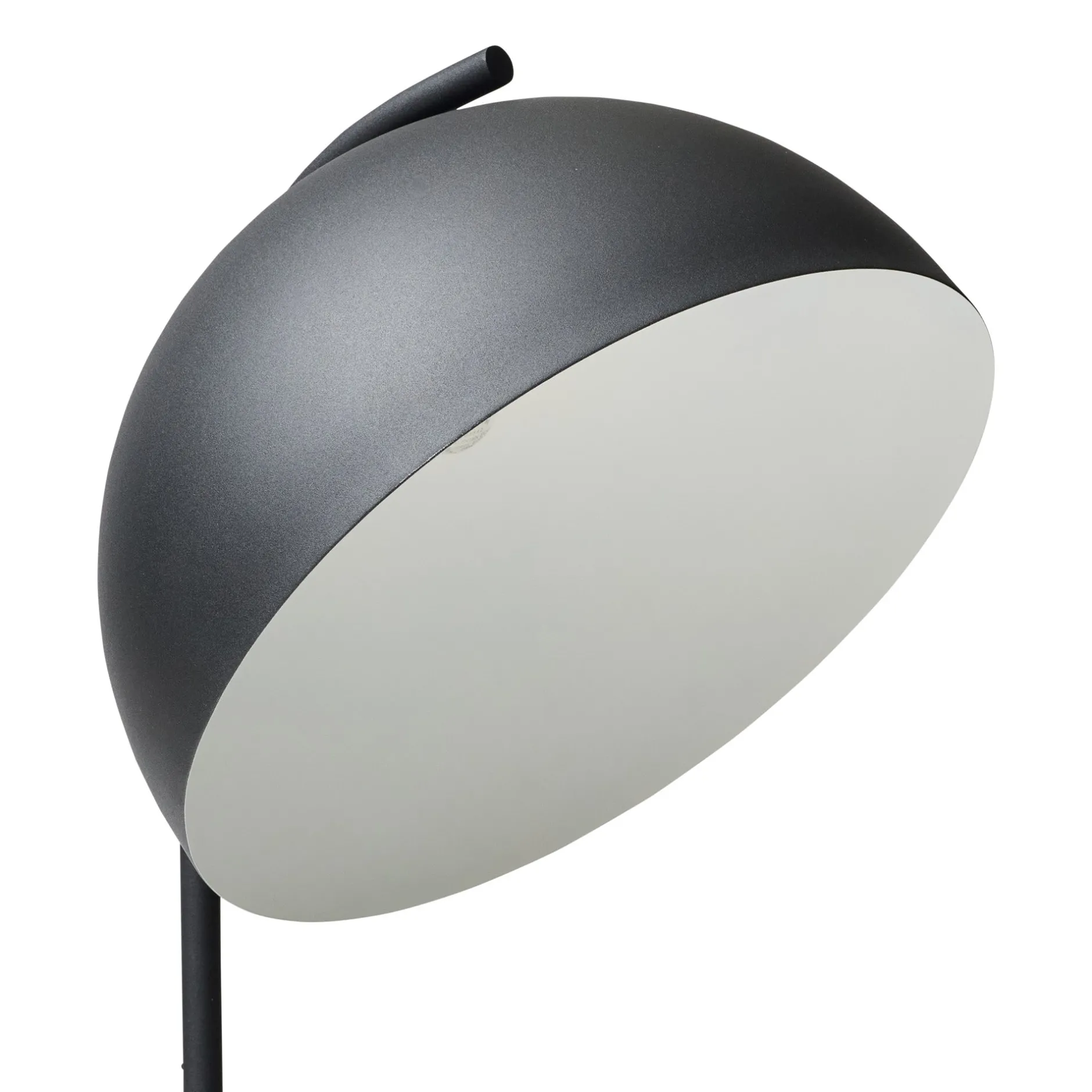 Discount Horgans Orion Floor Lamp Black